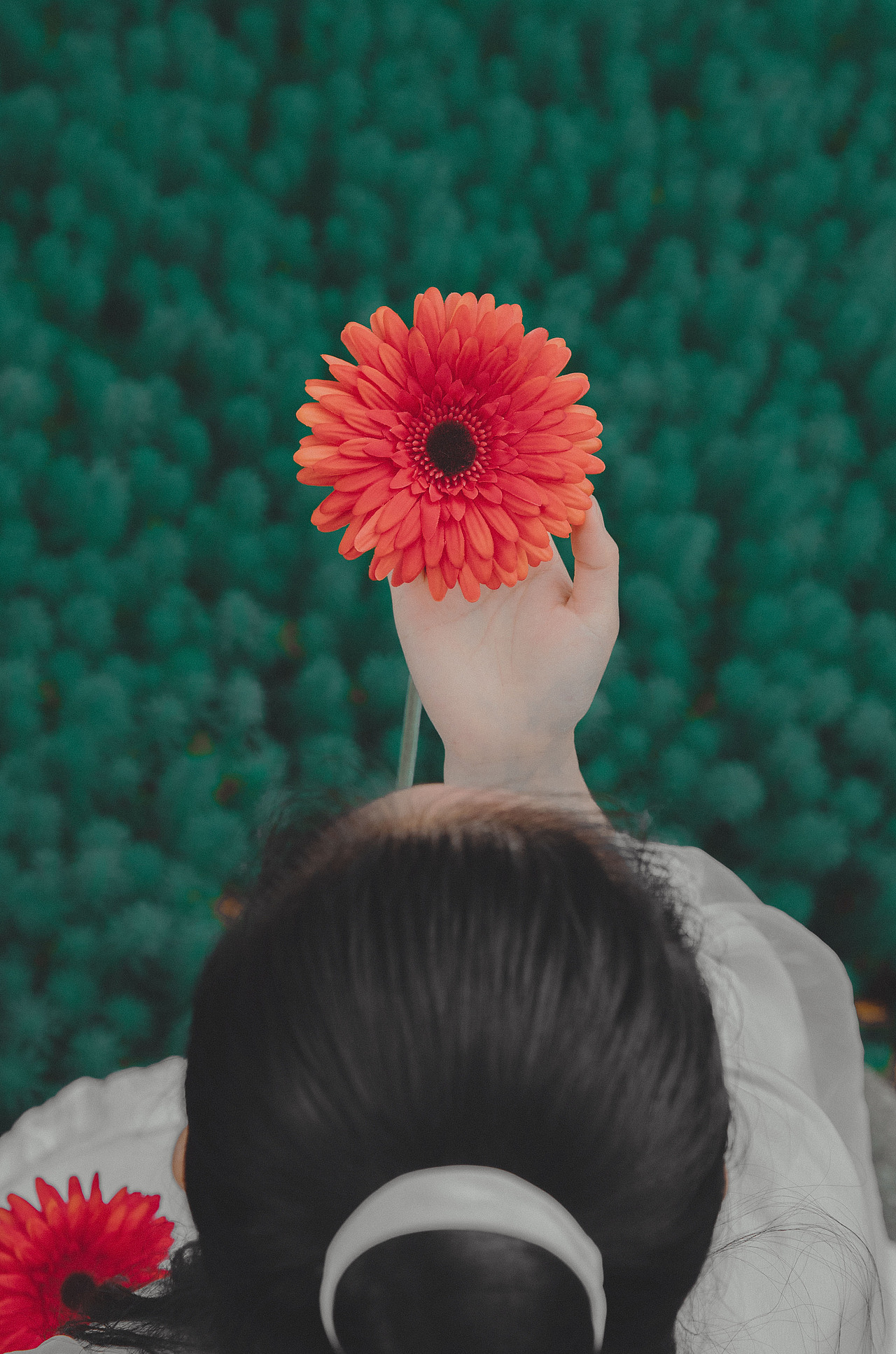 汉服古风人像画报 花