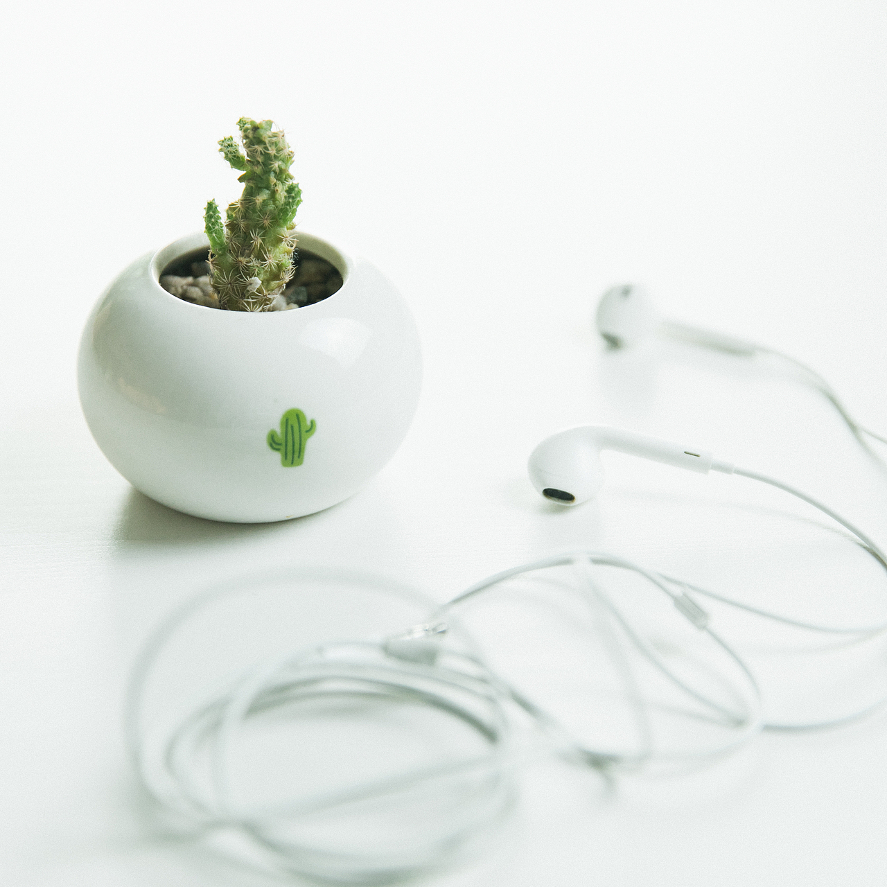 肆月（图ZMTU1MDk2NDQ4） - 产品摄影 - 站酷设计师Upion章元元原创素材 - 站酷ZCOOL