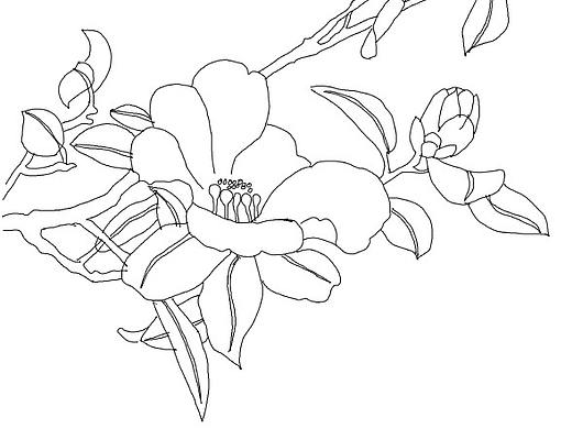 插画线稿练习-2（个人主页-ZNTg1MzE1NjQ=） - 其他平面 - 站酷设计师Z76478145原创素材 - 站酷ZCOOL