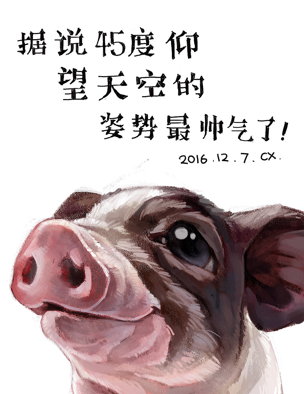 自恋的猪先生（图ZNjU0MTA4MTI=） - 儿童插画 - 站酷设计师风筝有风原创素材 - 站酷ZCOOL