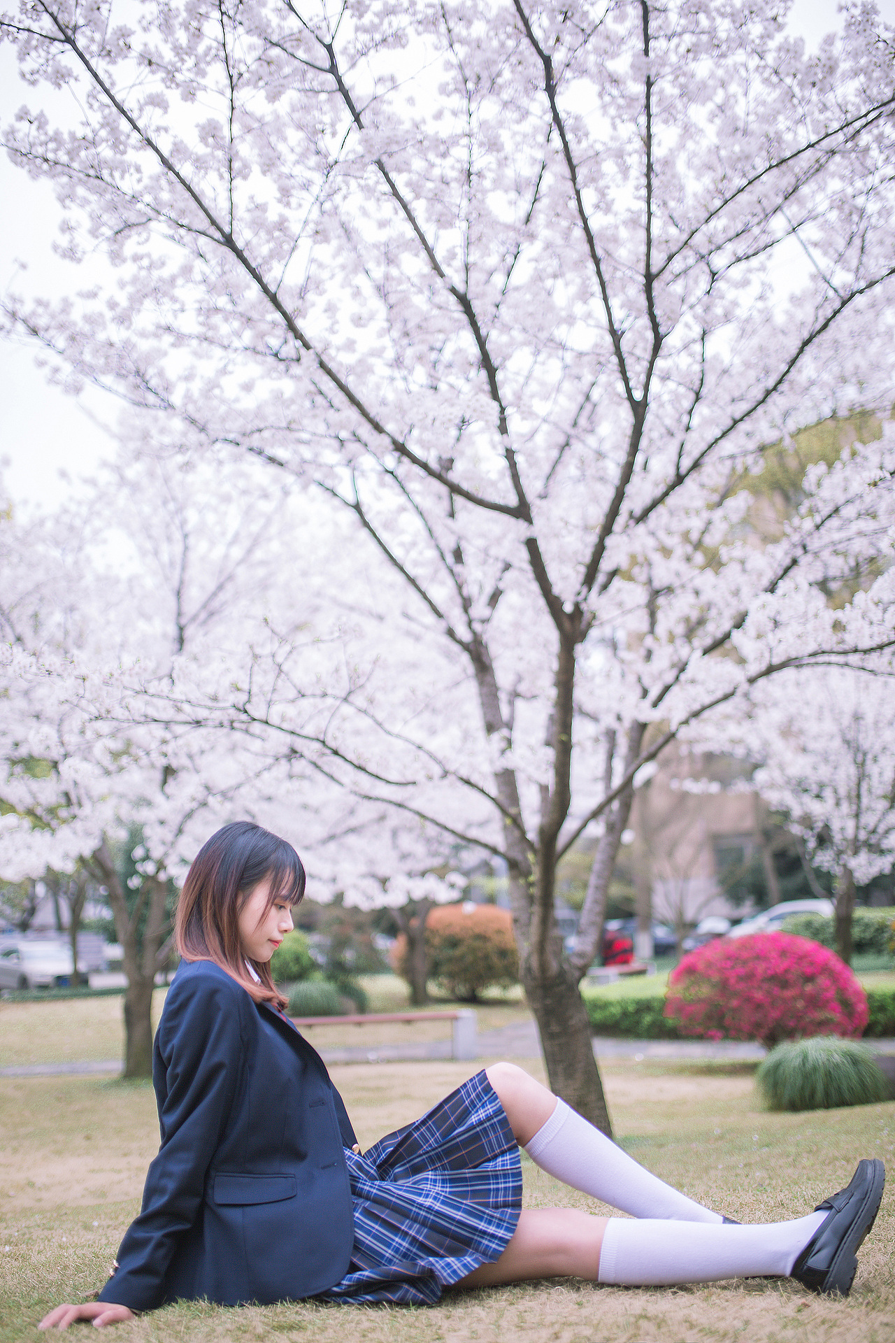 三月樱花（图ZMTU0MDUxNTc2） - 人像摄影 - 站酷设计师摄影师红茶原创素材 - 站酷ZCOOL