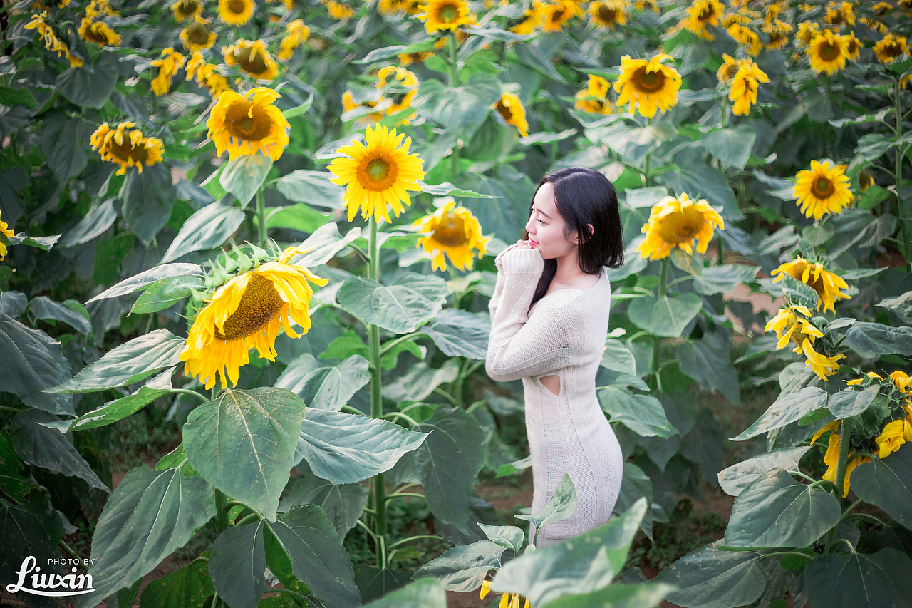 向日葵の花季（图ZMjU2MTU3ODg=） - 人像摄影 - 站酷设计师浮沉流星原创素材 - 站酷ZCOOL