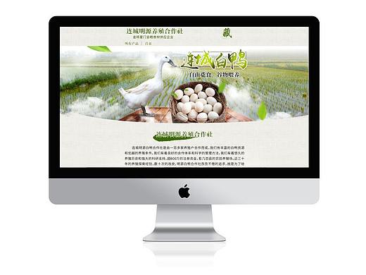 淘宝天猫白鸭农产品首页设计简洁主页个性定制网店装修