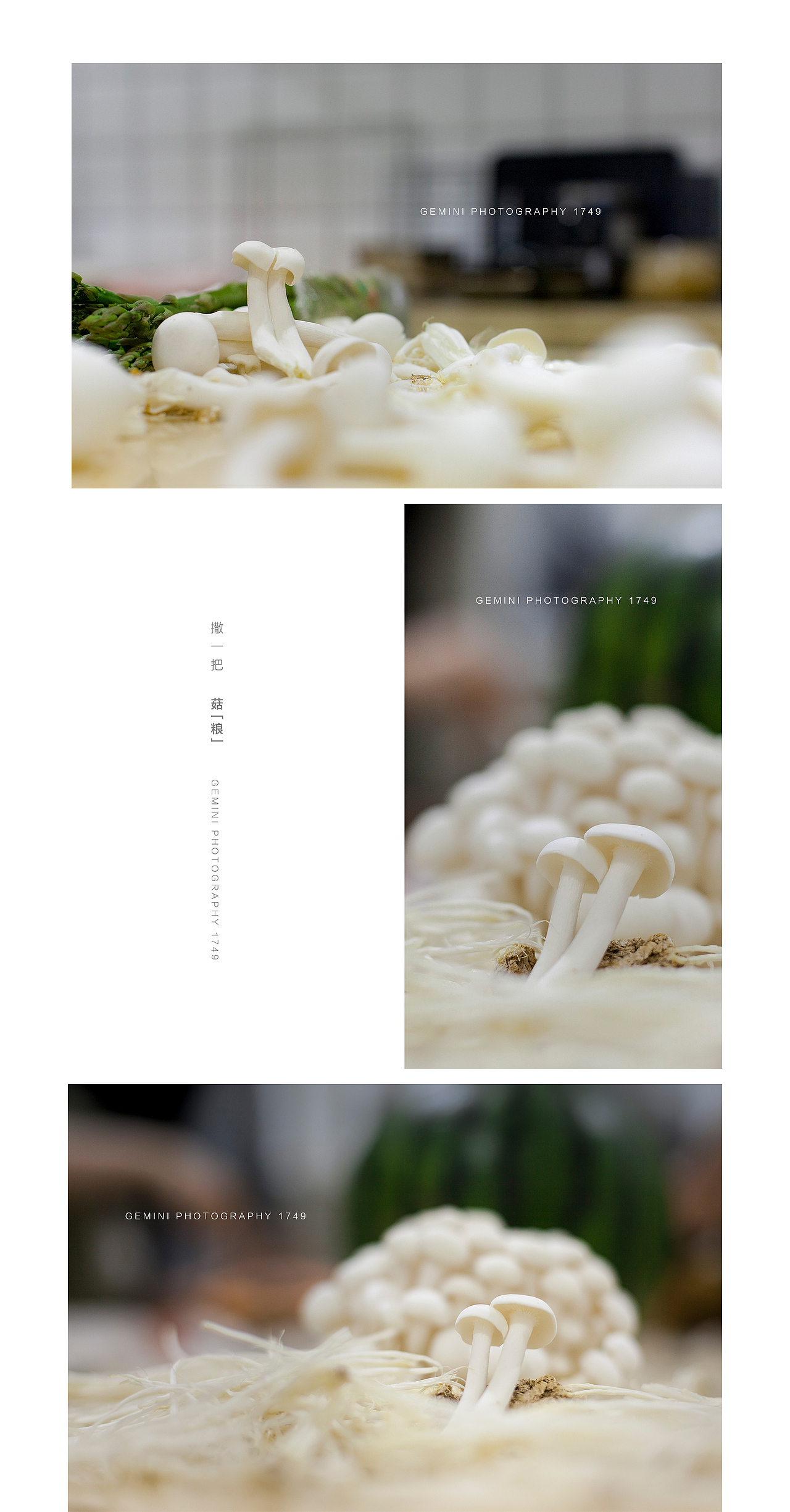 几颗——《菇》（图ZNzkwNDM0MzY=） - 其他摄影 - 站酷设计师gemini111126原创素材 - 站酷ZCOOL