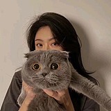 汤圆圆不圆的头像