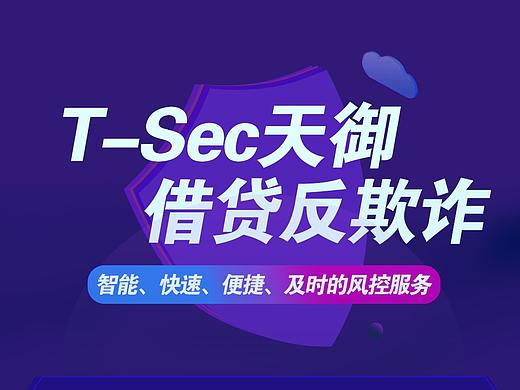 借贷反欺诈产品落地页设计