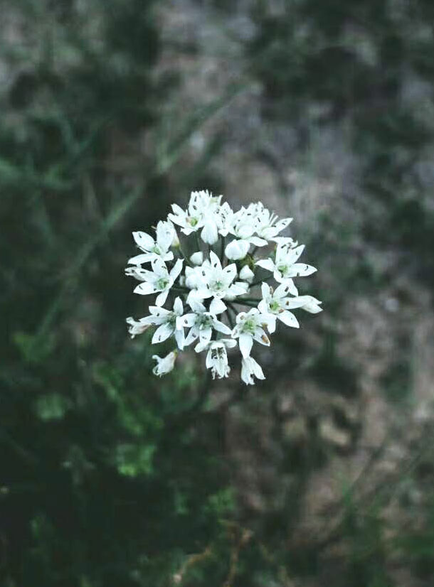 做设计的小星的个人主页（背景预览） - 主页背景设置 - 站酷设计师做设计的小星原创素材 - 站酷ZCOOL
