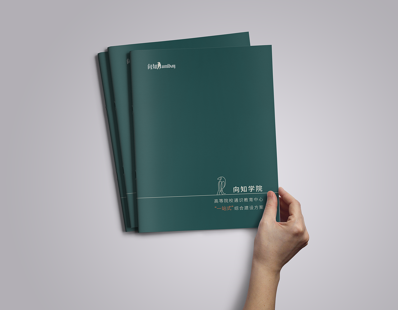 画册（图ZMjMzNjExODQ0） - 书籍/画册 - 站酷设计师张张张不会原创素材 - 站酷ZCOOL