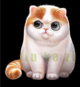 毛茸茸治愈——手绘可爱小动物