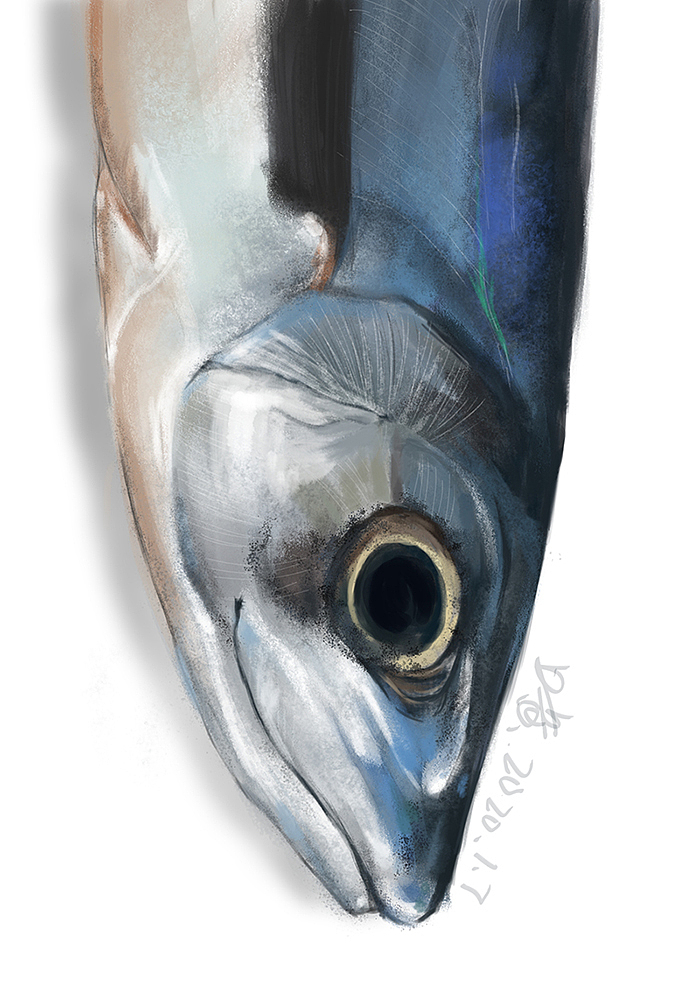 17年~19年的一些临摹练习~平时也比较懒~画的很少~