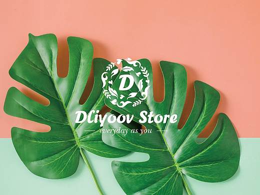 品牌设计    护肤品Dliyoov Store