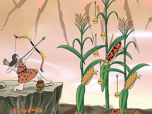 SCI学术期刊杂志封面设计/科研绘图