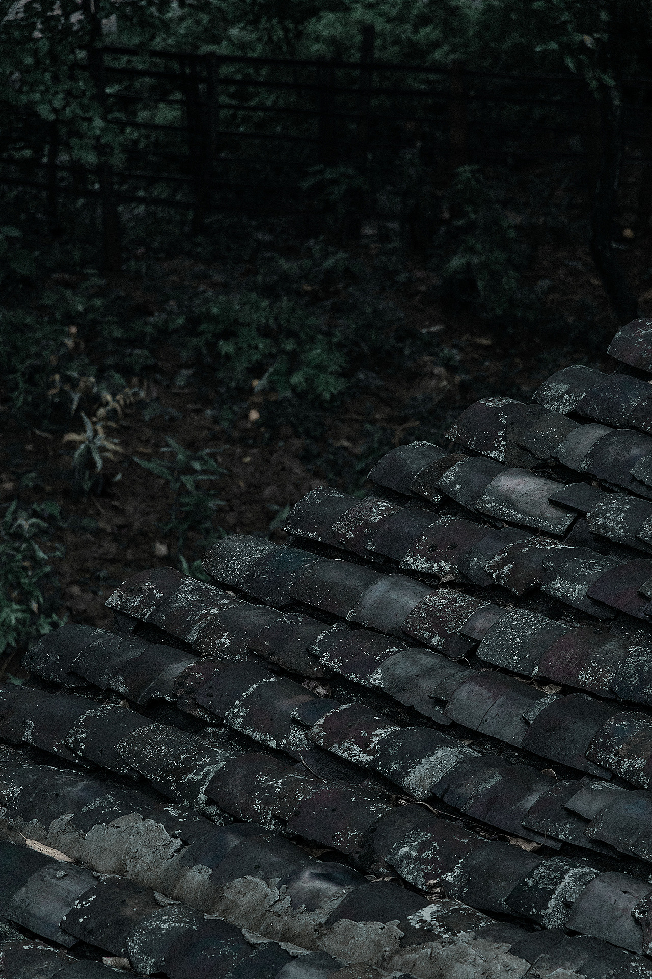 天青色等烟雨,我在山里等你