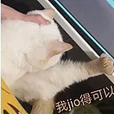 微雨芋圆的头像