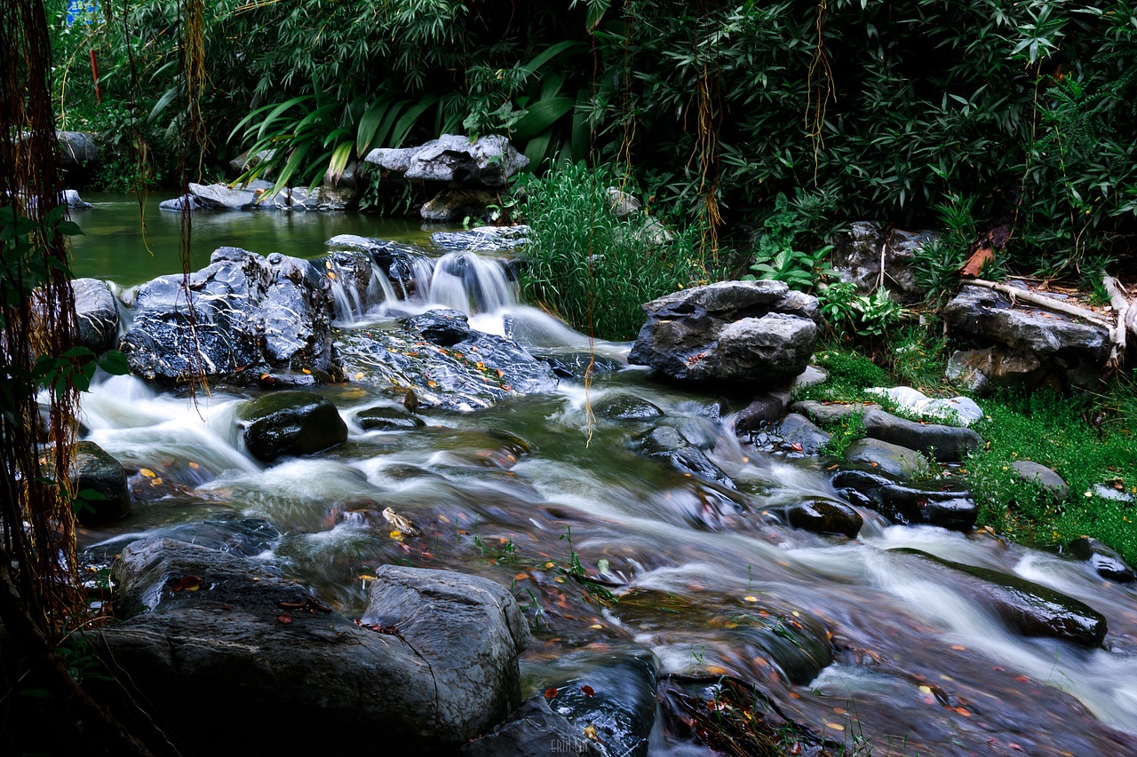 珠海圆明新园索道观景台（图ZMjIxNjQyNTUy） - 风光摄影 - 站酷设计师Erin_Lin原创素材 - 站酷ZCOOL