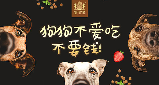 宠物用品banner|网页|运营设计|小黄花黄小花 - 原创作品 - 站酷