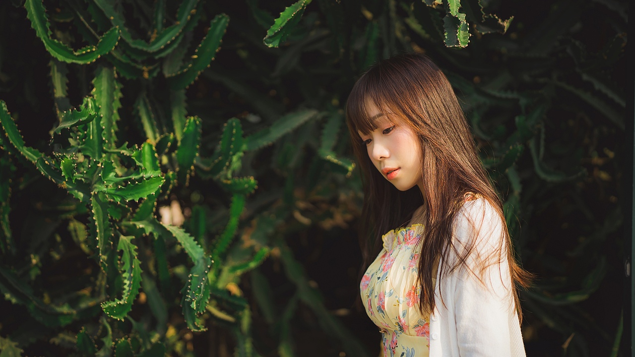 这应该就是夏天的开始