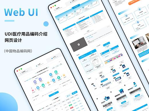 UDI医疗用品编码网页UI设计