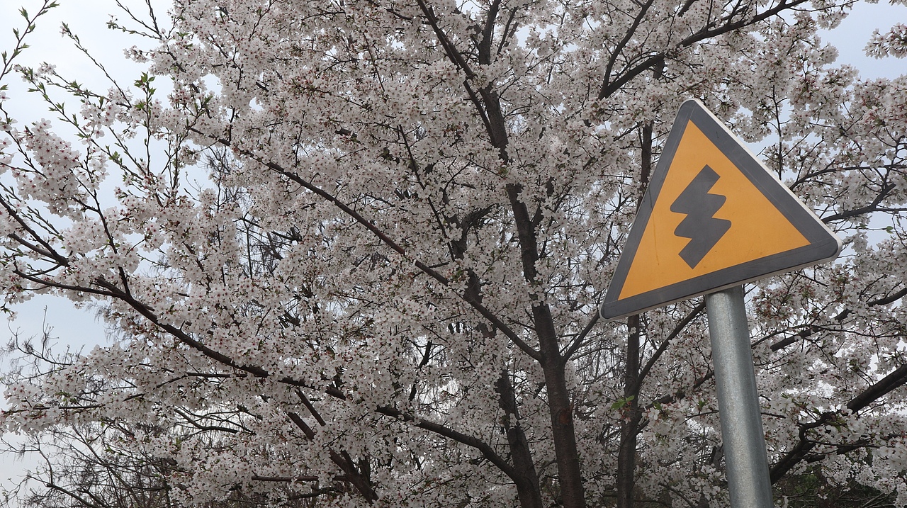 《眼前便是最好》（图ZMzA5MjA0NDI0） - 其他摄影 - 站酷设计师简浩原创素材 - 站酷ZCOOL