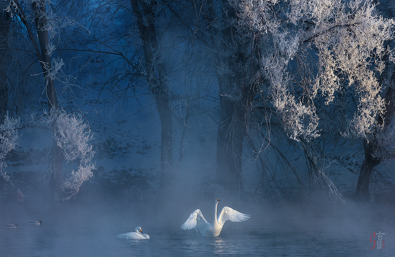 蓝调舞曲（图ZMzMxMTQ1NDIw） - 时尚/艺术摄影 - 站酷设计师陈弦影原创素材 - 站酷ZCOOL