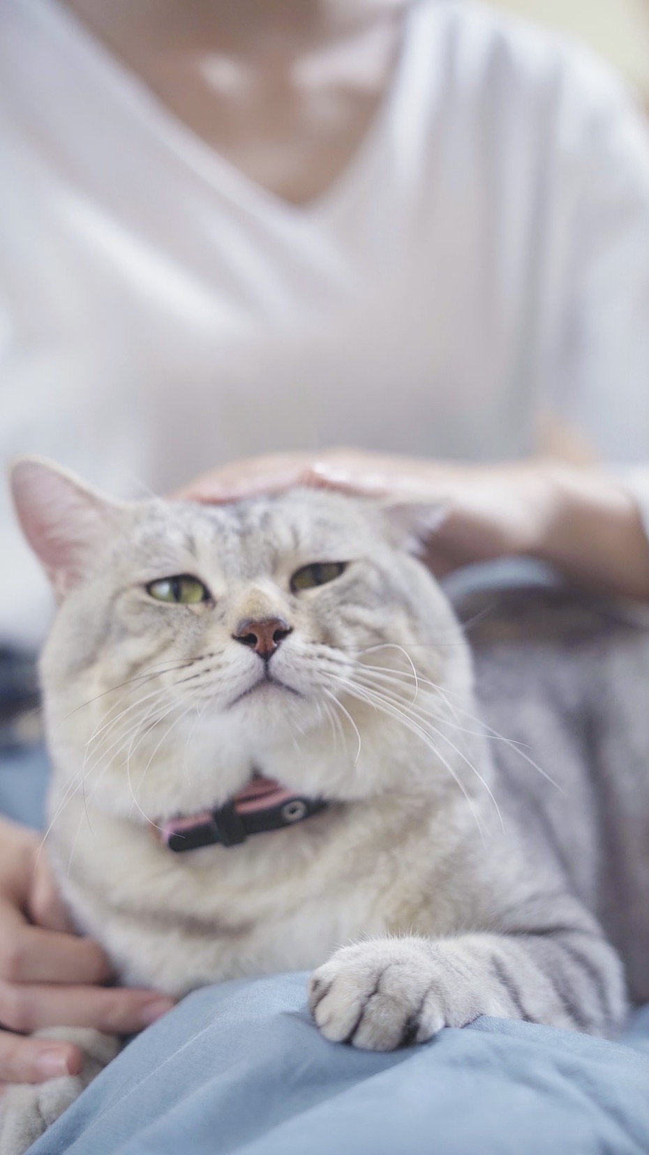 抖音短视频 | 局骑士电动牙刷 X 万象奔放