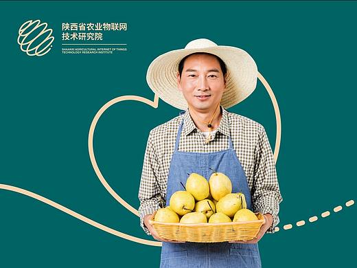 陕西省农业物联网技术研究院品牌形象设计