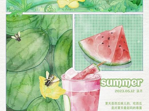 夏天的味道l西瓜