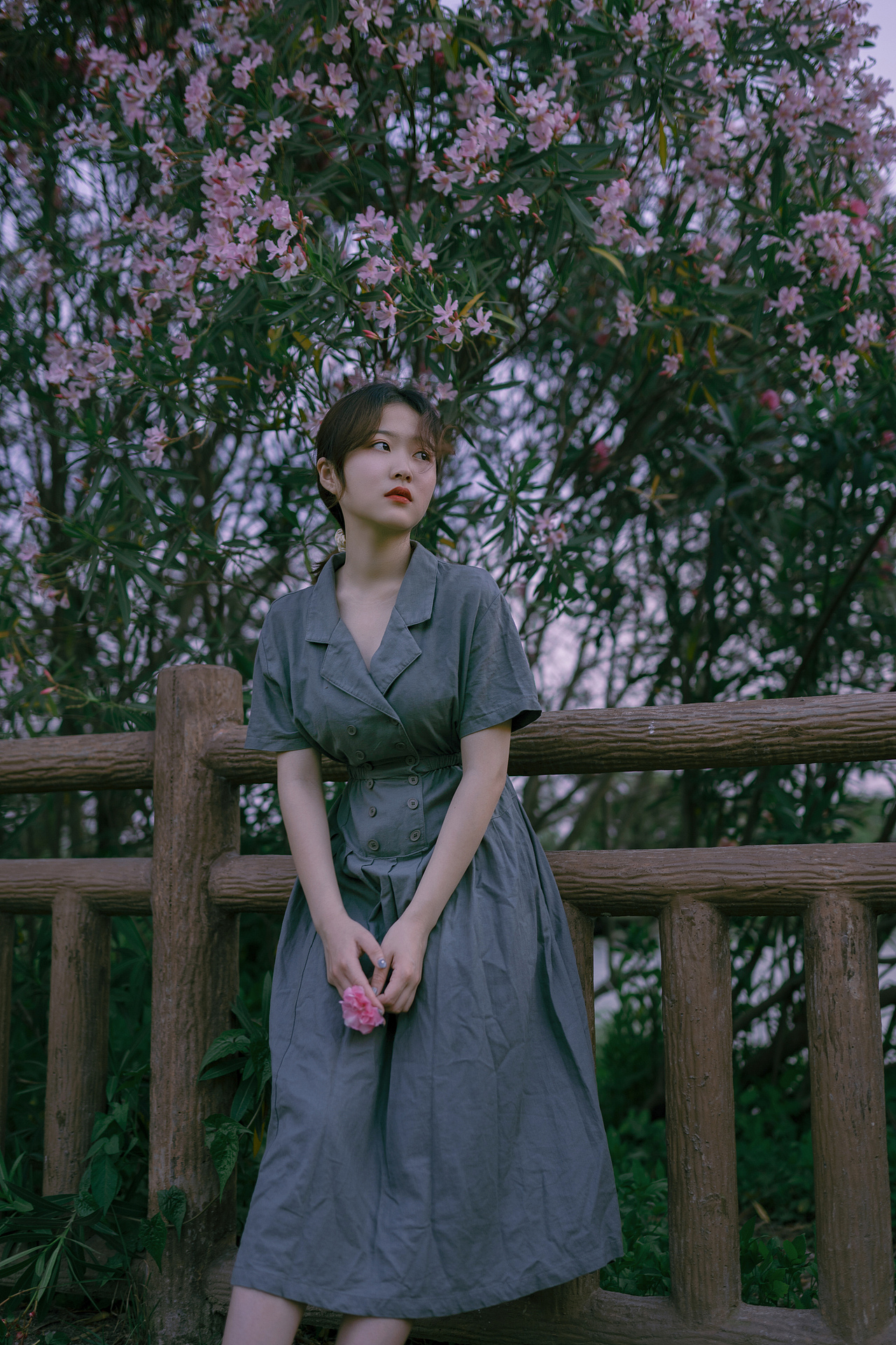 夹竹桃花开（图ZMjIzMjI2MjQ4） - 人像摄影 - 站酷设计师POKYUIE原创素材 - 站酷ZCOOL