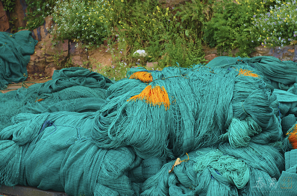 枸杞岛旅行（图ZMTA3MTcyMTI=） - 风光摄影 - 站酷设计师老鼠_dcy原创素材 - 站酷ZCOOL