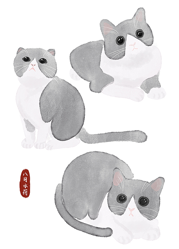 24只可爱到想咬一口的蓝白猫|插画|创作习作|八月水荷 - 原创作品