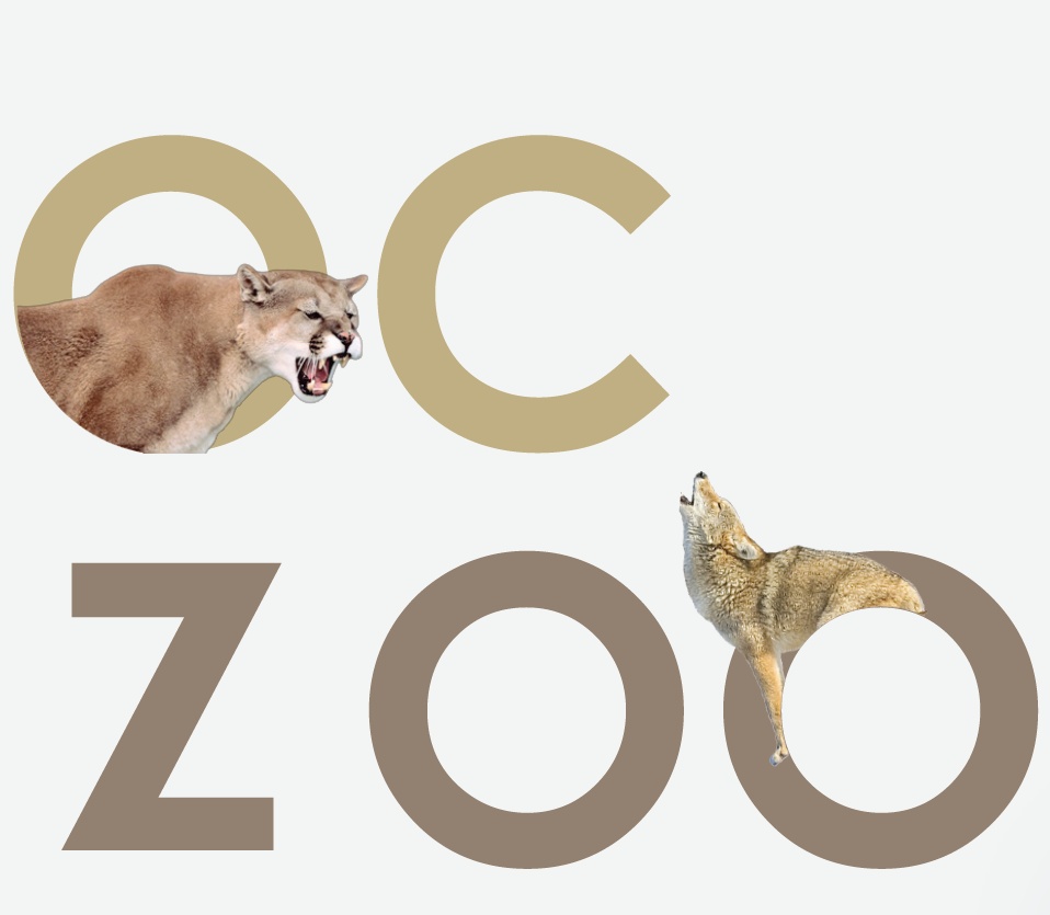 动物园字体图片大全图片