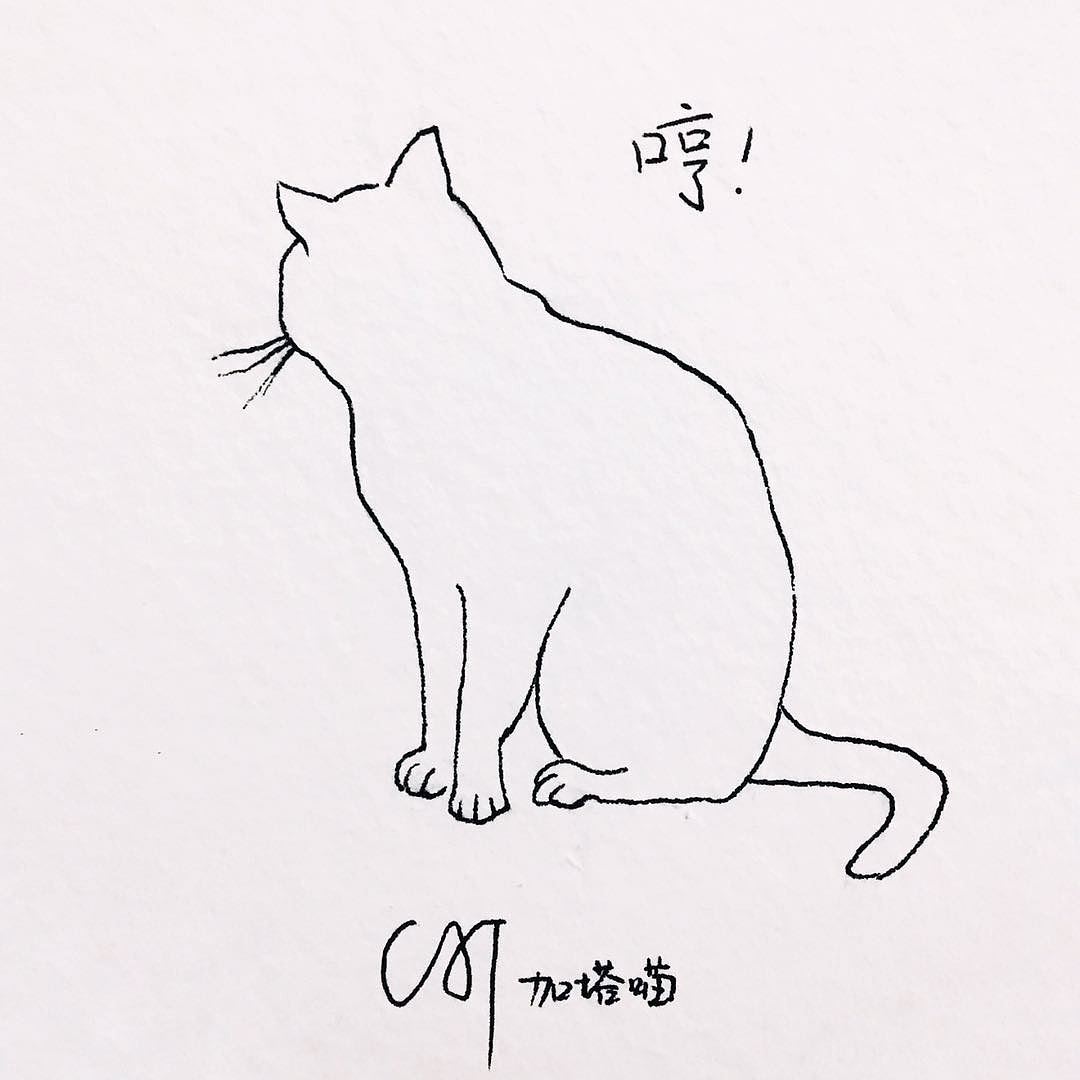 线描猫