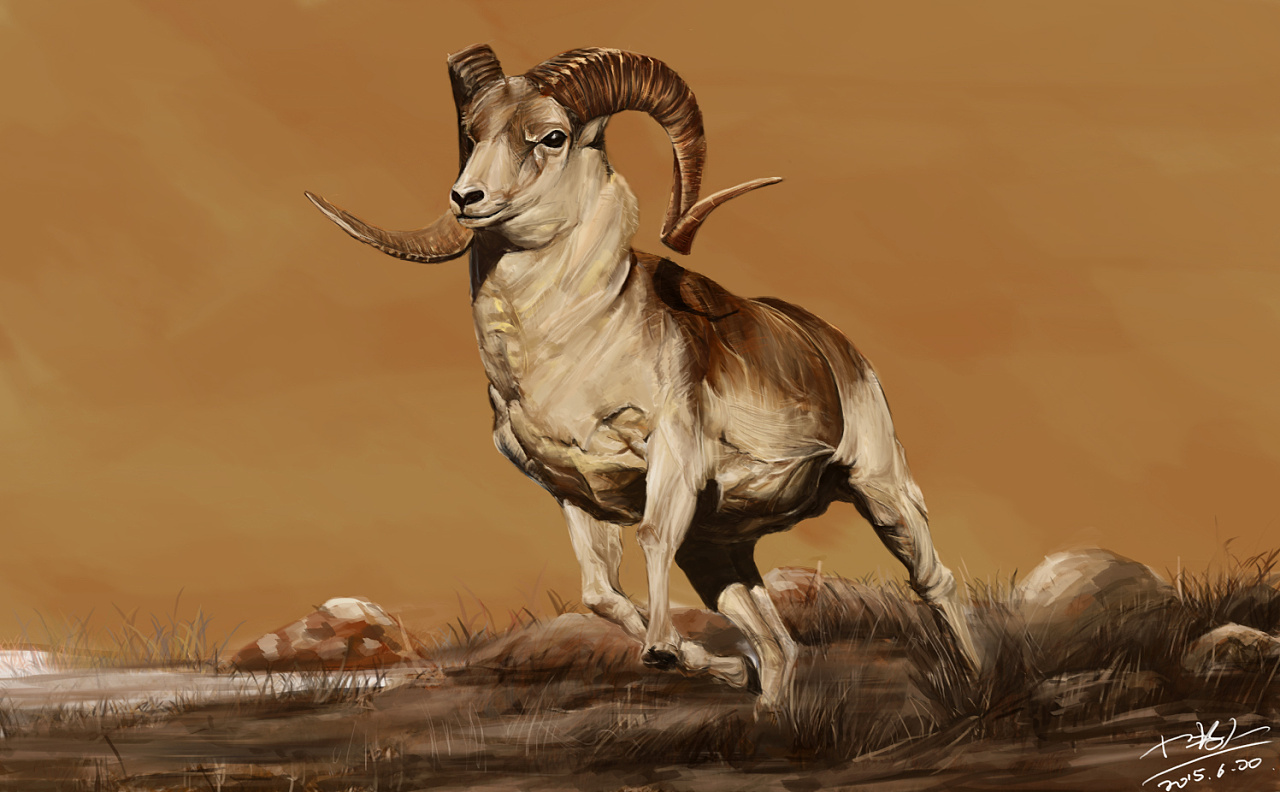 羊|插画|创作习作|小牧人 - 原创作品 - 站酷 (zcool)