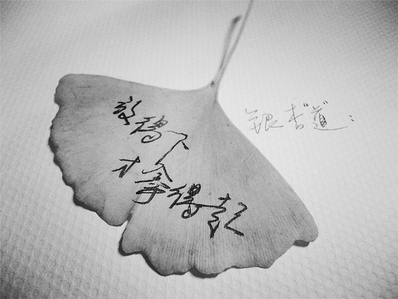银杏“道”： #活動策劃 #北京林業大學（图ZNzQxNzgwNjg=） - 实验艺术 - 站酷设计师大倩是QueEnie原创素材 - 站酷ZCOOL