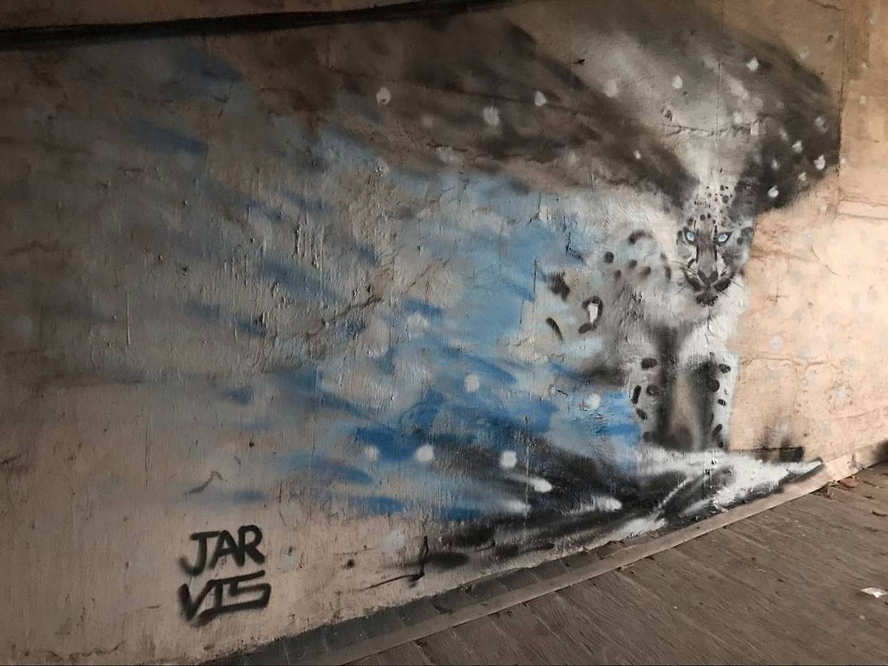 Graffiti——雪豹（图ZMTQ5OTc5ODIw） - 其他 - 站酷设计师李Jarvis原创素材 - 站酷ZCOOL