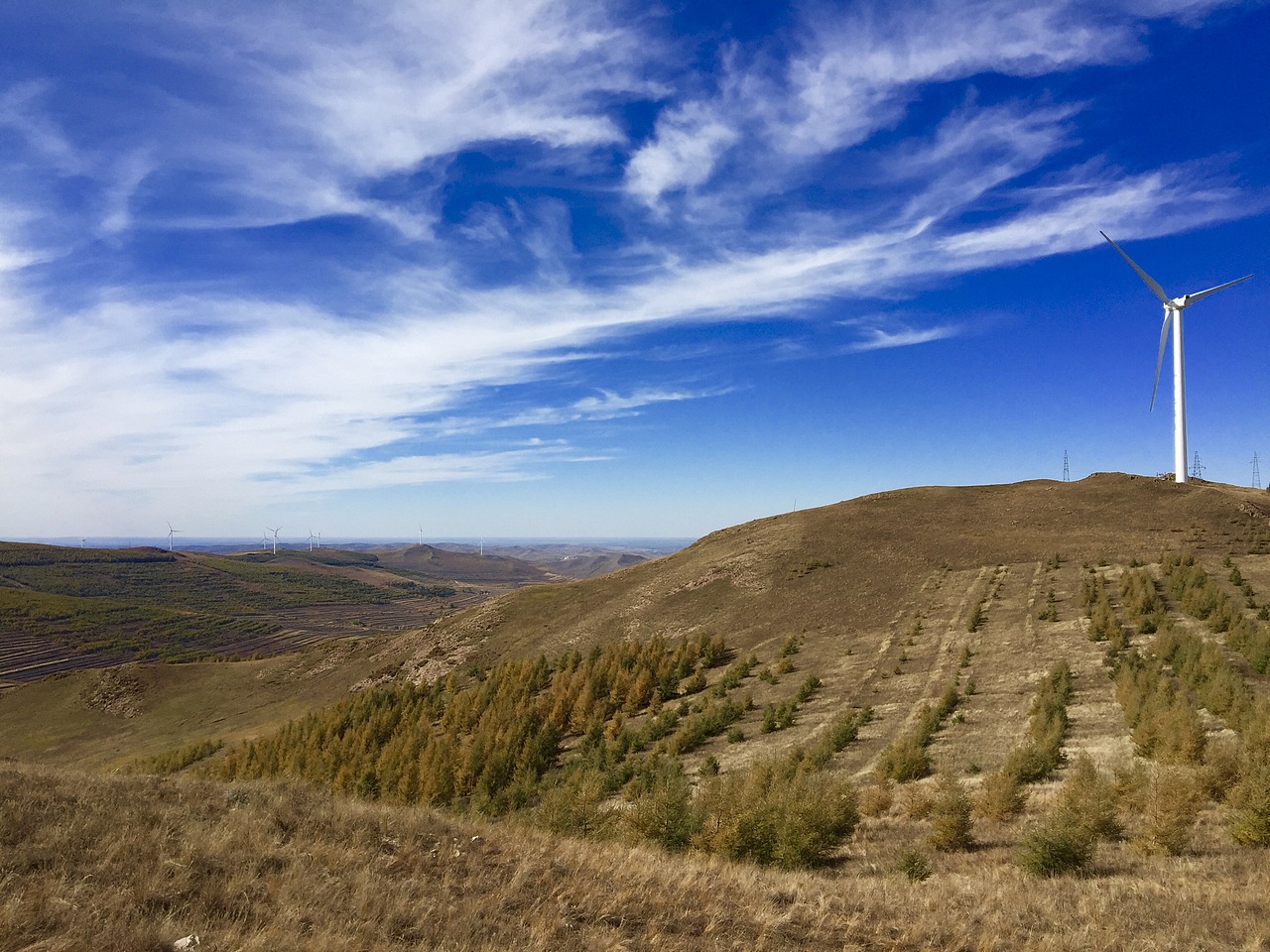 我的十一小长假