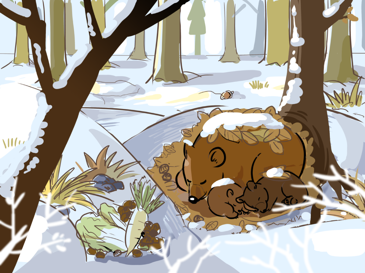 熊在树洞里冬眠简笔画图片