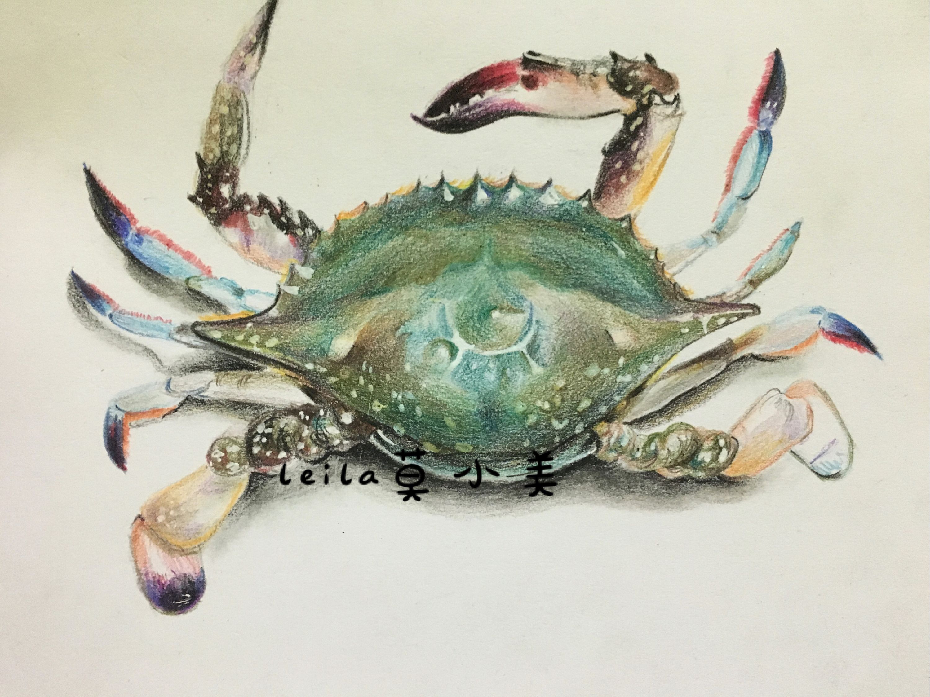 4～6岁美术 好看简笔画螃蟹怎么画详细步骤 - 有点网 - 好手艺