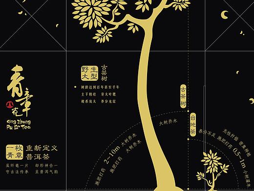 茶叶包装设计（概念稿）