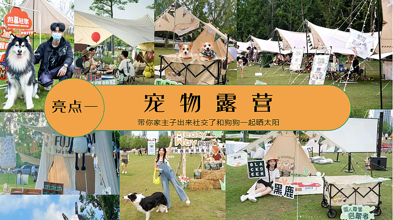 2024萌宠派对五一乐翻天露营趴主题活动方案-60P