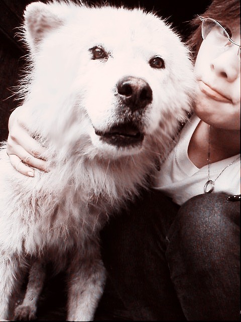 跟了我們家十多年的卷毛（圖ZMTE3OTk0OA==） - 人文/紀(jì)實(shí)攝影 - 站酷設(shè)計(jì)師麥笨笨原創(chuàng)素材 - 站酷ZCOOL