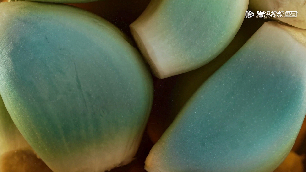 风味人间 | 食物里的微观世界（图ZMjI5Njk3ODc2） - 其他摄影 - 站酷设计师美丽科学原创素材 - 站酷ZCOOL