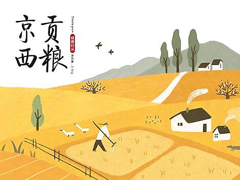【商业插画】京西贡粮礼盒包装插画设计