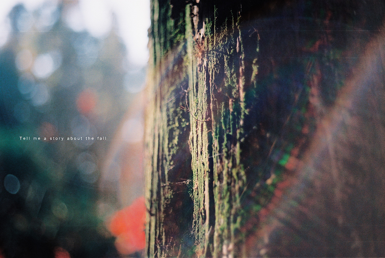 讲一个秋天的故事