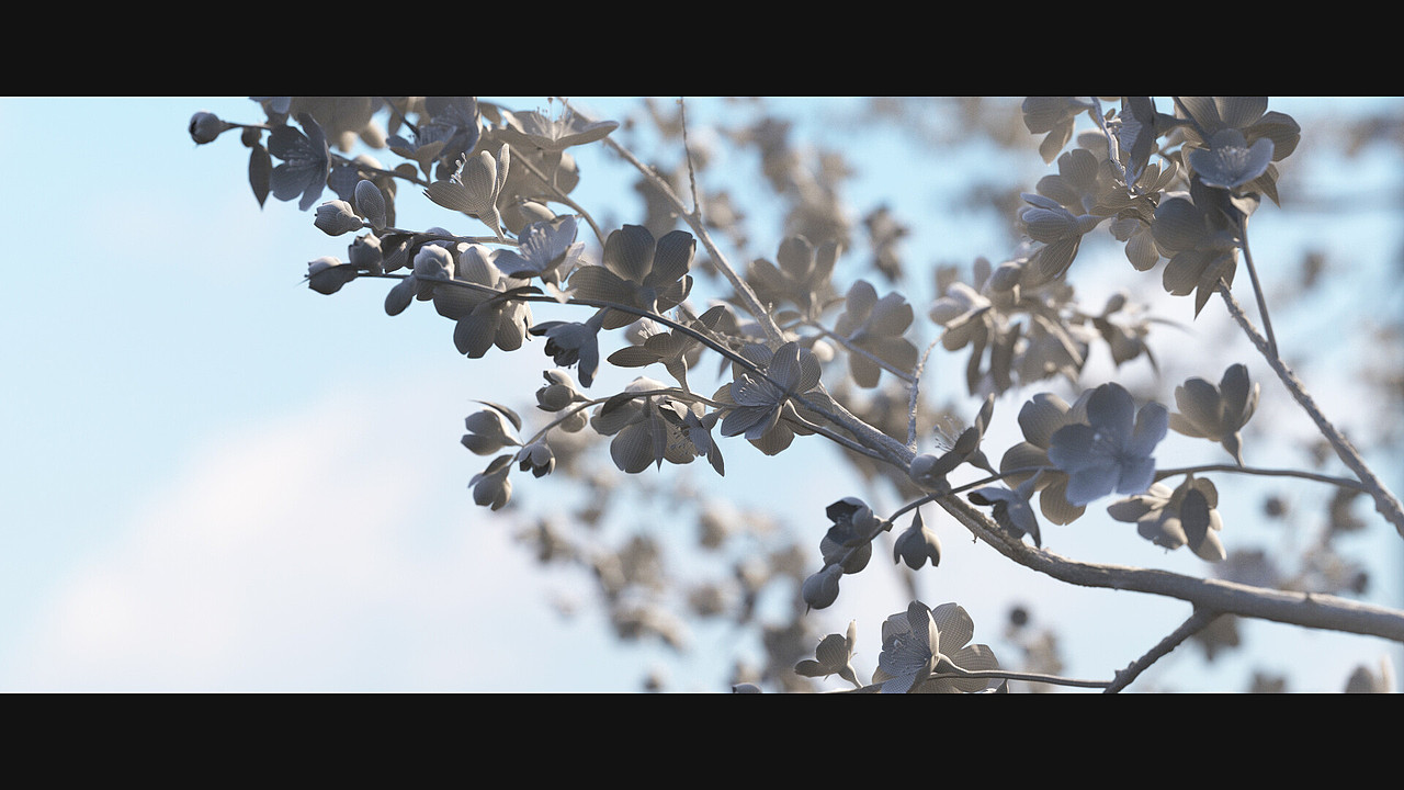 樱花（图ZMjYzMDAwODk2） - 场景 - 站酷设计师绝隐仙山原创素材 - 站酷ZCOOL