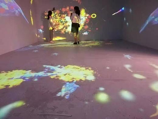 全息互动投影 AR互动花海出租 AR互动鲸鱼岛出租