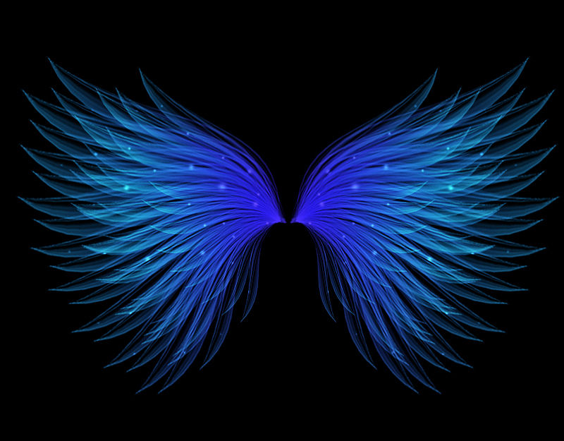 自己 第一次用ps 做的翅膀|插画|游戏原画|蓝色冰心 - 原创作品