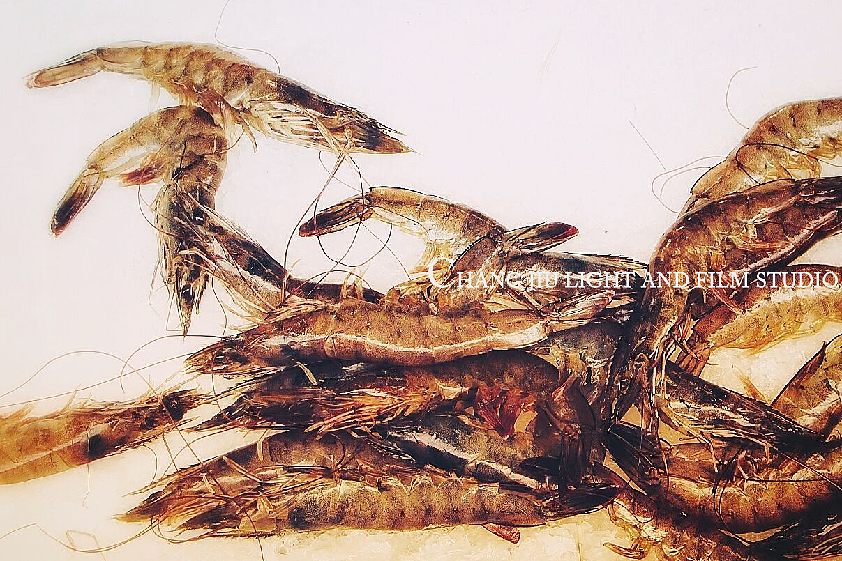 人间烟火（图ZMTkyNTc2MjQw） - 产品摄影 - 站酷设计师九儿食摄原创素材 - 站酷ZCOOL