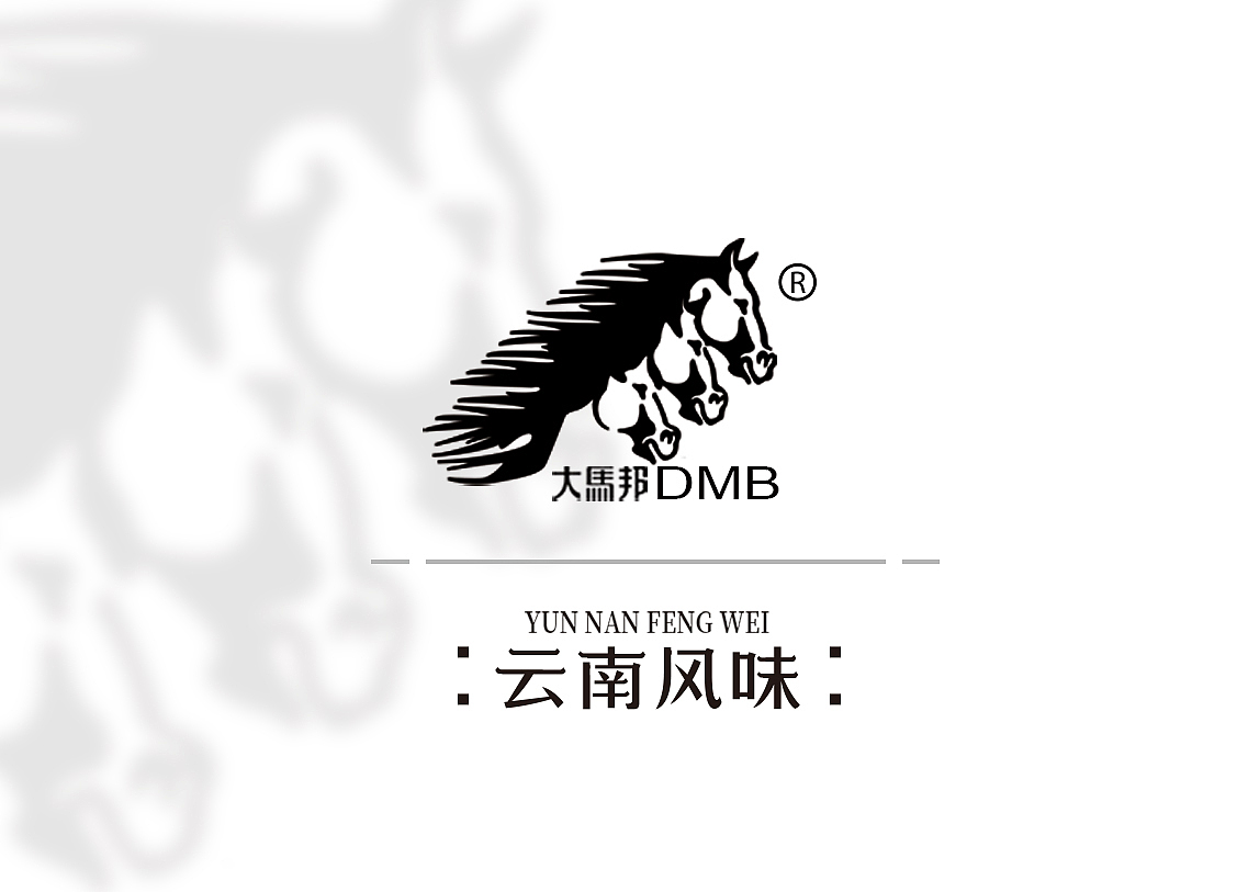 华人平面设计产品策划图片赏析--大马邦