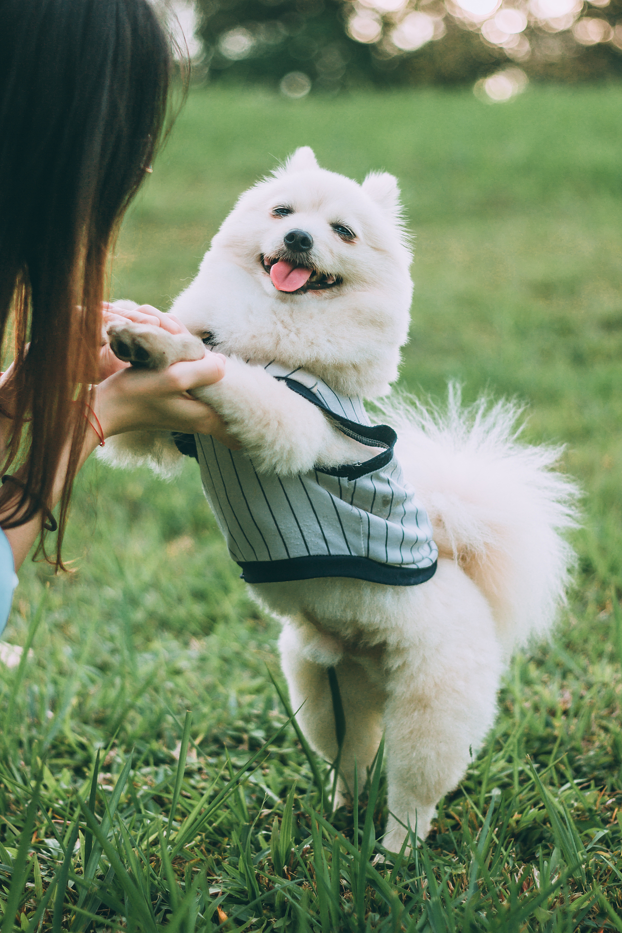 细嗅野草的滚滚